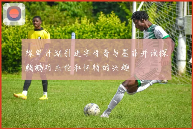 绿军计划引进字母哥与墨菲并试探鹈鹕对杰伦和怀特的兴趣
